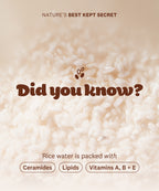 Rice Ceramide Moisturizing Cream