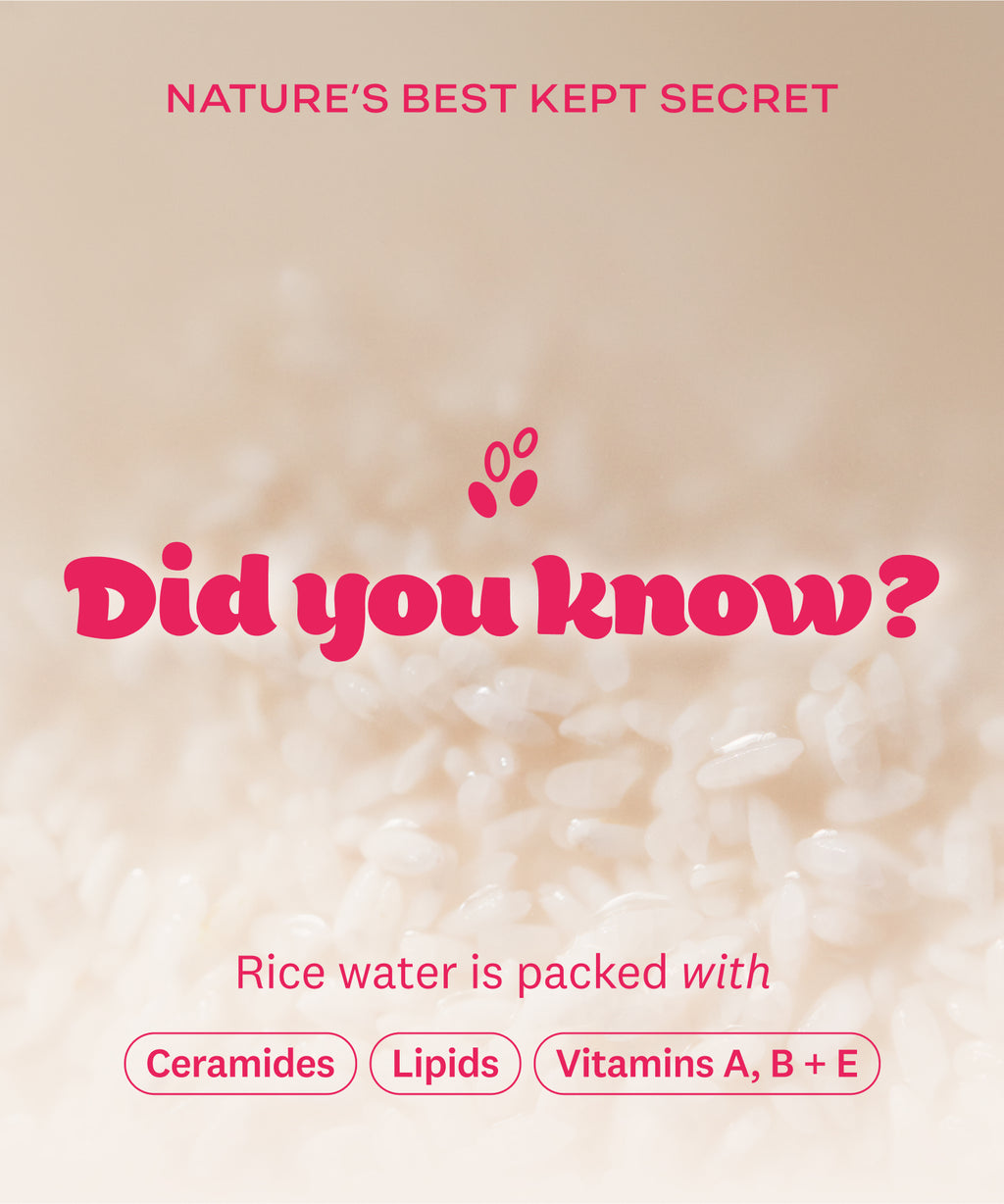 Rice Water Bright Enzyme Powder Wash