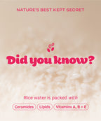 Rice Water Bright Enzyme Powder Wash