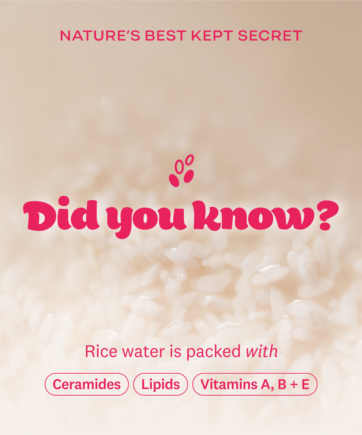 Rice Water Bright Enzyme Powder Wash