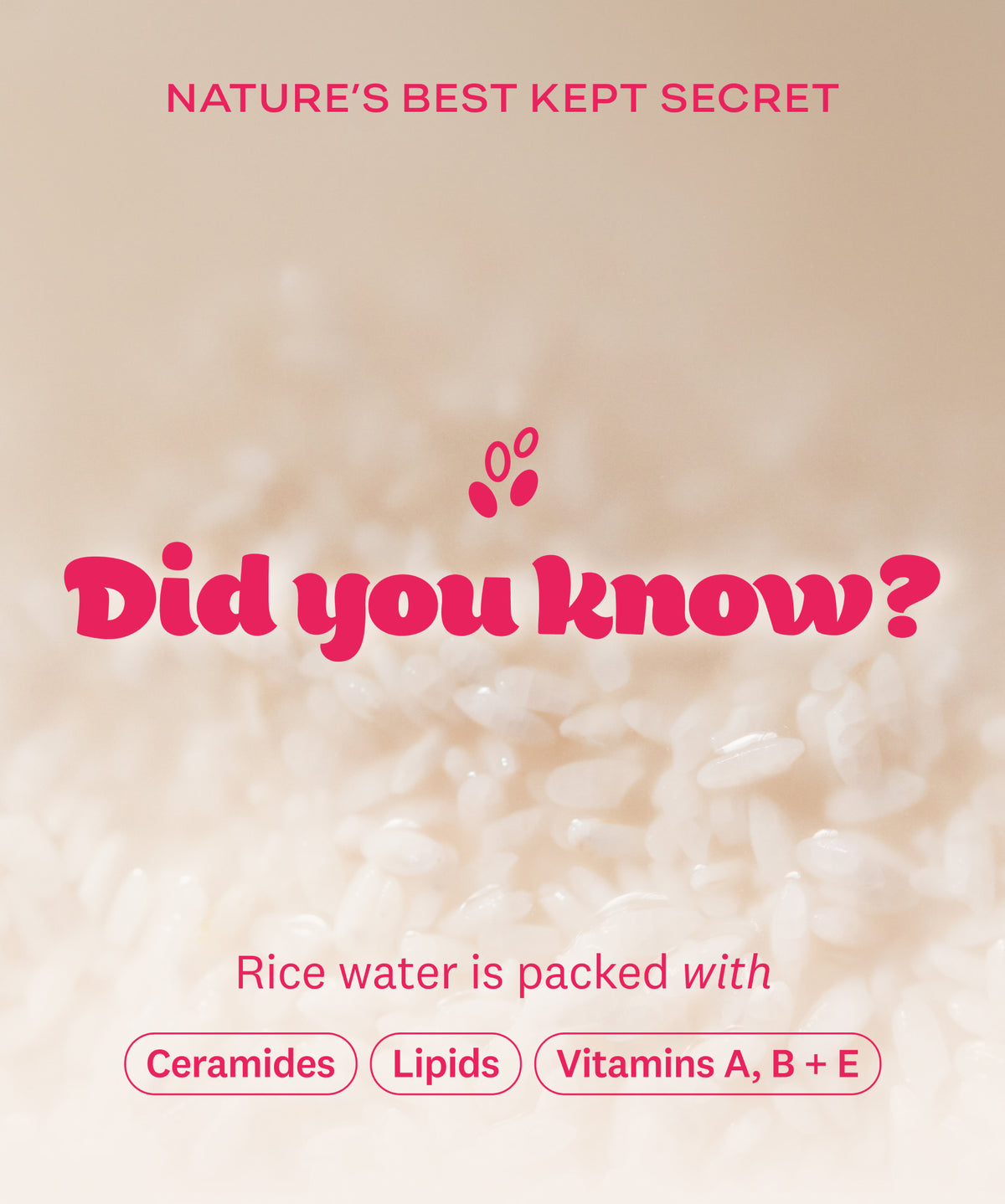 Rice Water Bright Travel Kit