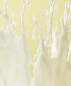 Dew Guard Milky Sun Serum SPF 40