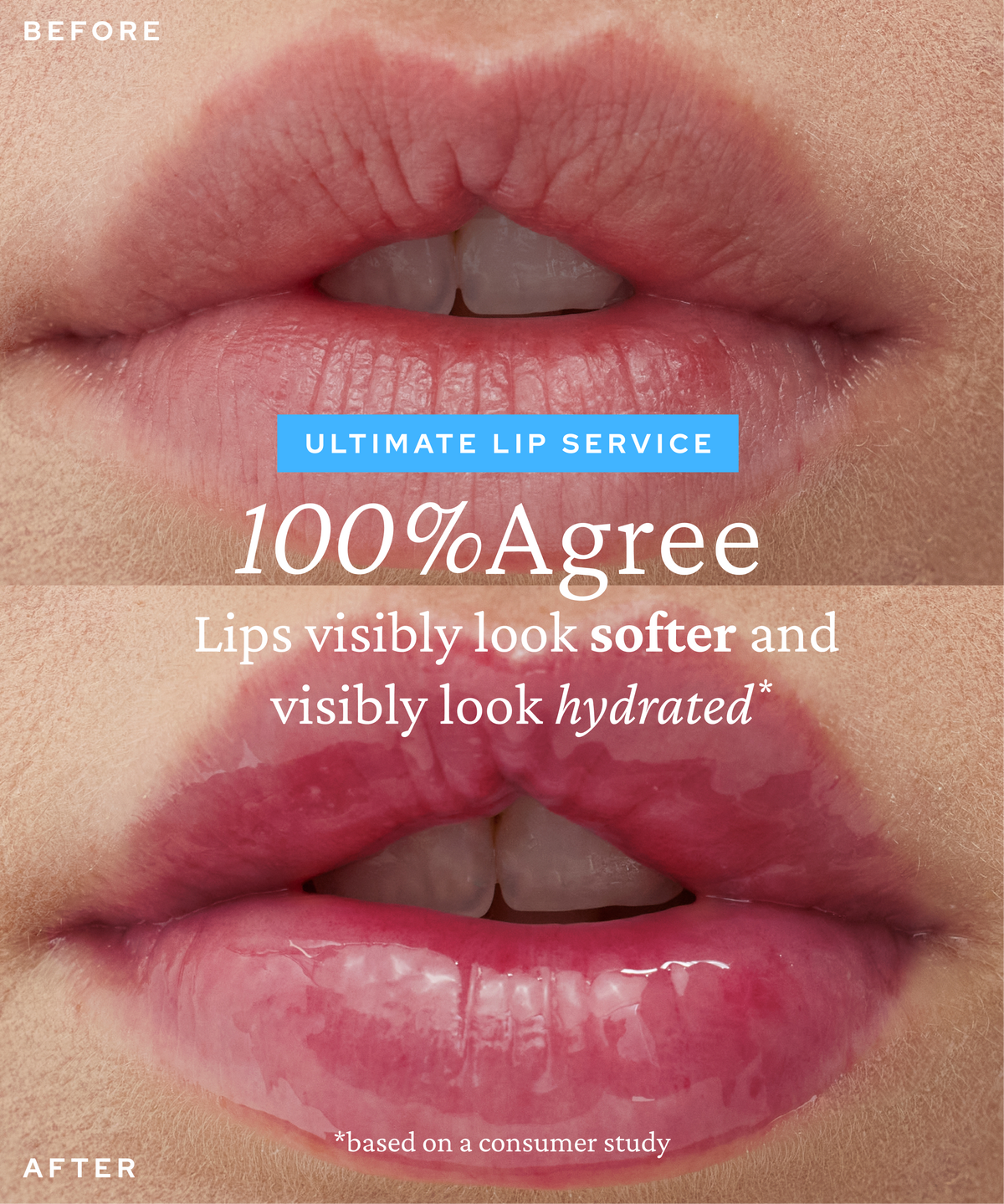 Super Knights Tinted Lipcerin